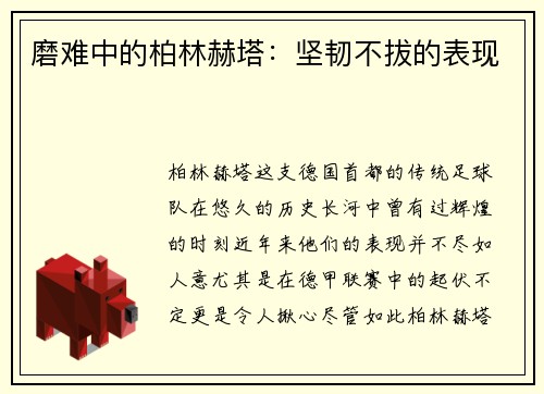 磨难中的柏林赫塔：坚韧不拔的表现
